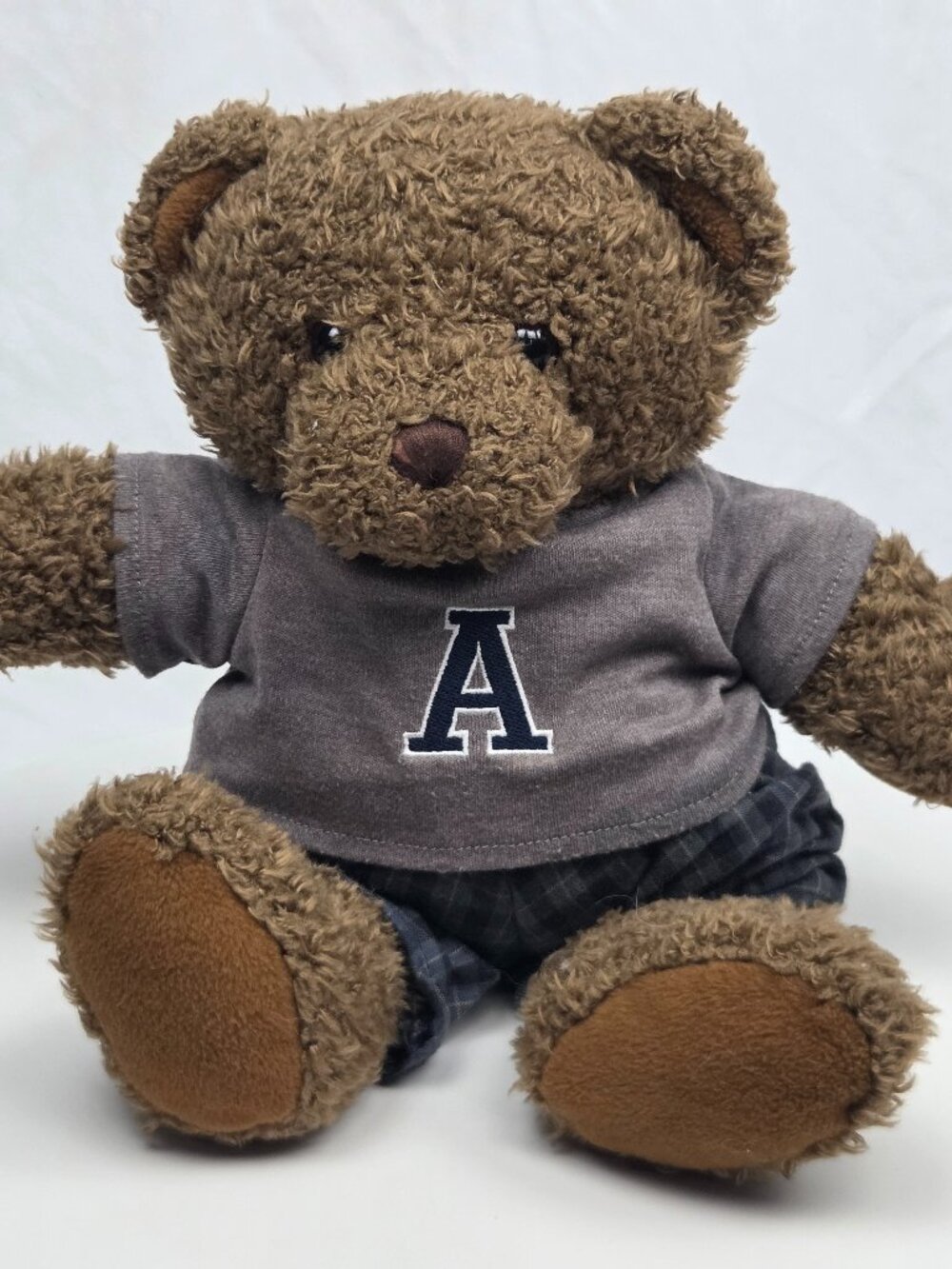 Plush Teddy Bear 12" Wearing Aeropostale Clothes (stain on shirt)